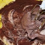 Mayonnaise Cake