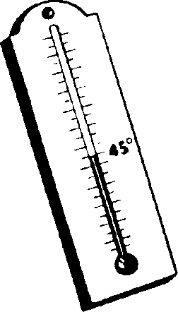 Thermometer
