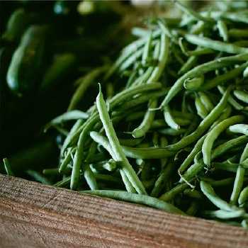 American Chinese Chop Suey