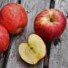 Apple Coffee Cake