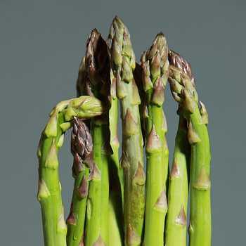 Asparagus
