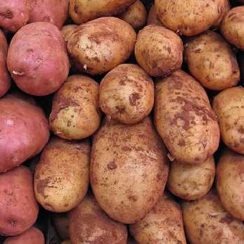 Baked Potatoes II
