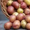 Batatess Forn (Potato Vegetable Dish)