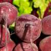 Beets and Beet Greens