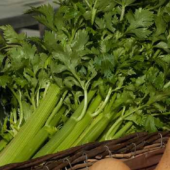 Bettina's Celery and Eggs