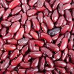 Boiled Pinto or Great Northern Beans