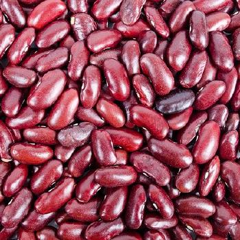 Boiled Pinto or Great Northern Beans