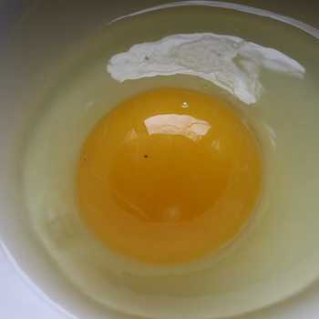 Bread and Butter Canapes