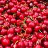 Bublanina (Cherry Cake)