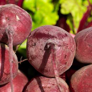 Buttered Beets
