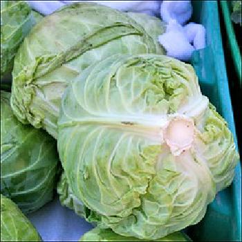 Cabbages, Cauliflowers, Greens and Savoys