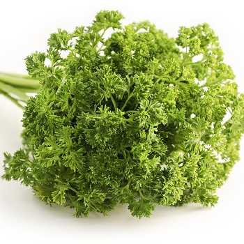 Cheap Sauce for Boiled Fish