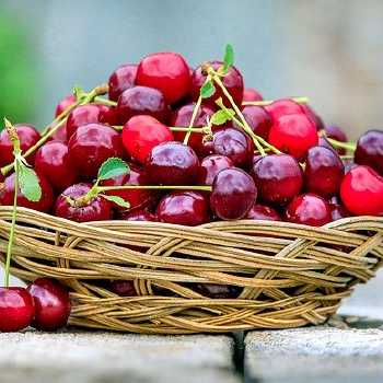 Cherry Pudding II