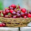 Cherry Pudding II