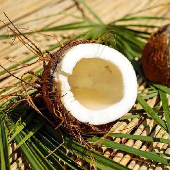 Coconut Macaroon Pie