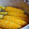 Corn Chowder III