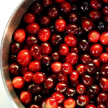 Cranberry Conserve