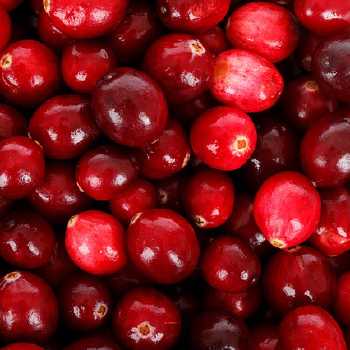 Cranberry Sauce