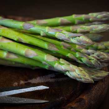 Cream of Asparagus Soup