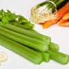 Cream of Celery Soup