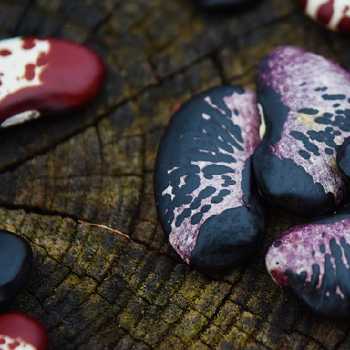 Cream of Lima Bean Soup