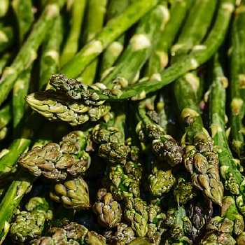 Creamed Asparagus