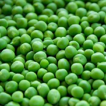 Creamed New Peas