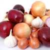 Creamed Onions