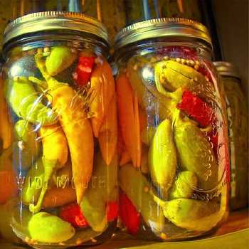 Cucumber Pickles II