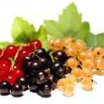 Currant Jelly