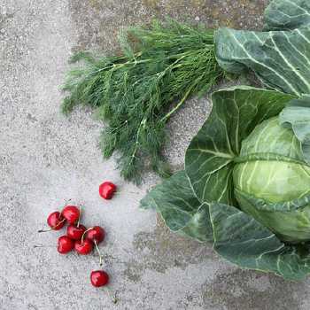 Dill Cabbage