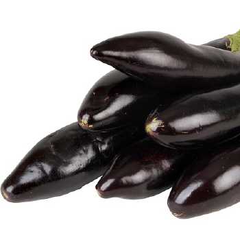 Egg Plant