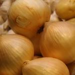 Escalloped Onions