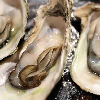 Escalloped Oysters