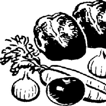 Fricasseed Pork Hearts