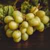 Grapes and Cheese