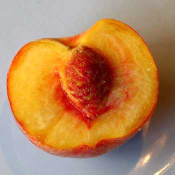 Halved Peaches on Sponge Cake