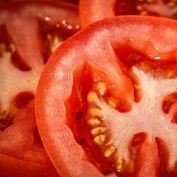 Jellied Tomato Salad