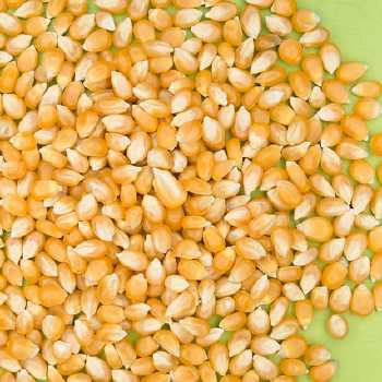 Lancaster County Baked Corn