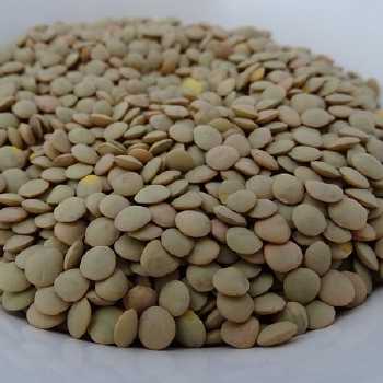 Lentil Soup with Frankfurters