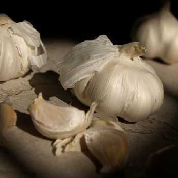 Lettuce Salad with Garlic