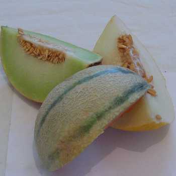 Melon and Ginger Cocktail