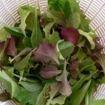 Mixed Vegetable Cocktail