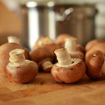 Mushrooms in Cream
