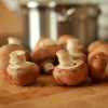 Mushrooms in Cream