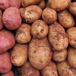 New Potatoes in Cream