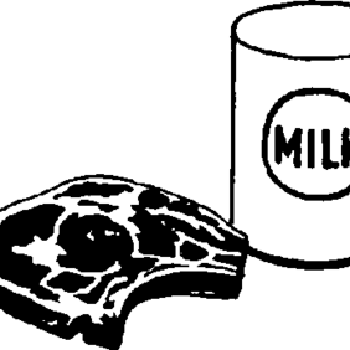 Pork Chops Braised in Milk