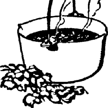 Pork Feet and Greens