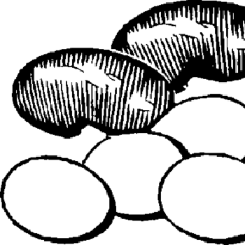 Pork Kidneys and Scrambled Eggs