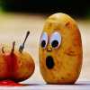 Potato Cubes